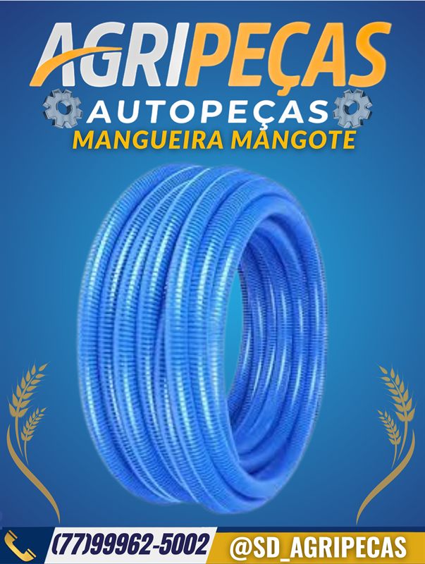 MANGUEIRA MANGOTE